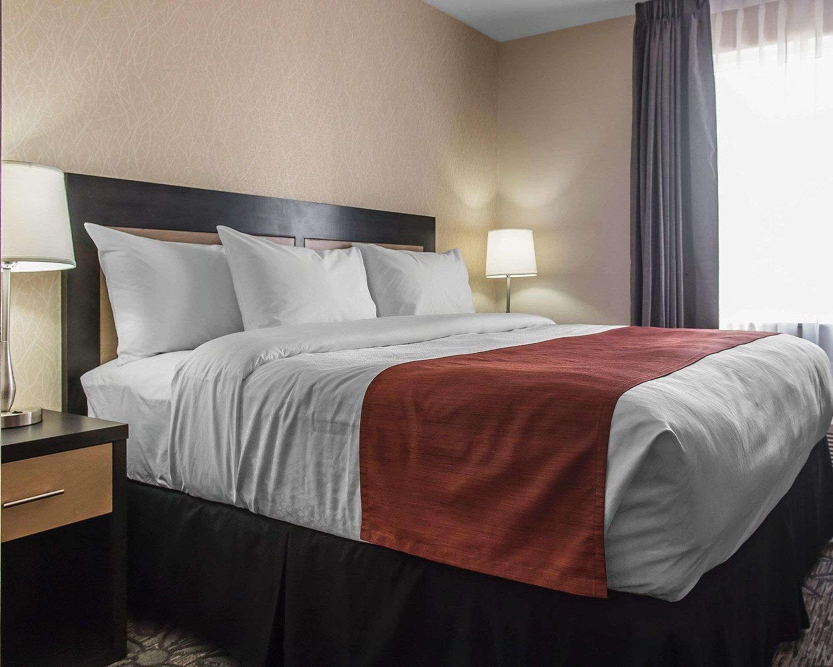 Quality Inn & Suites Kingston Exterior foto